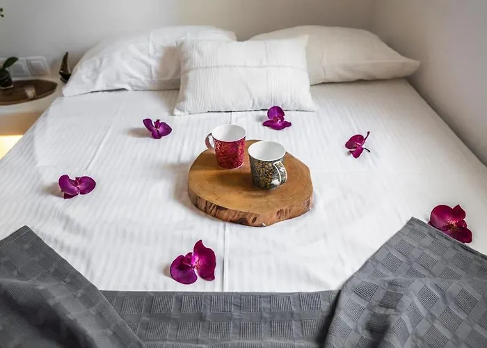 Armonia Guesthouse Close To Mykonos Town